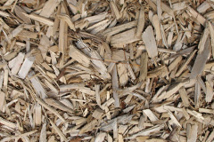 biomass boilers Ferne
